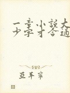 一章小说大概多少字才合适