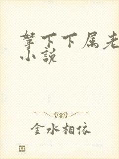 拿下下属老婆的小说封面