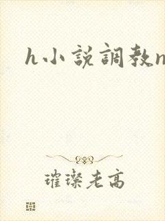 h小说调教np