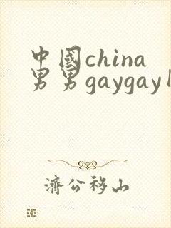 中国china男男gaygay网站封面