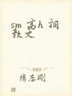 sm 高h 调教文