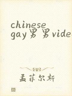 chinesegay男男video封面