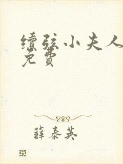 续弦小夫人全文免费