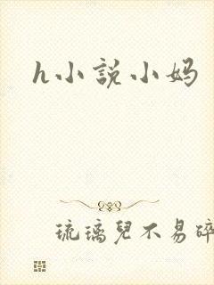 h小说小妈封面