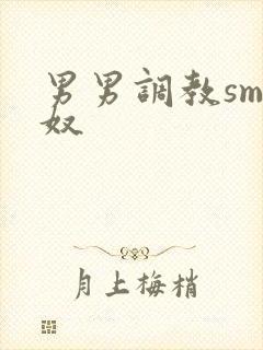 男男调教sm男奴封面
