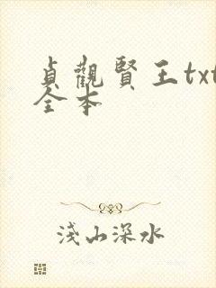 贞观贤王txt全本