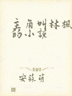 主角叫林枫穿越的小说