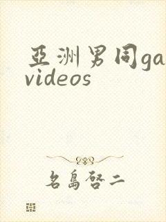 亚洲男同gayvideos封面