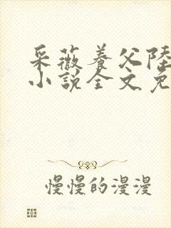 采薇养父陆三平小说全文免费阅读封面
