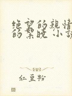绝望的亲情可怜的絮晓 小说封面