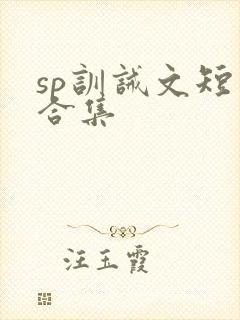 sp训诫文短篇合集