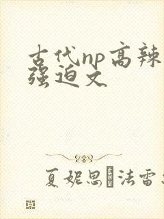 古代np高辣h强迫文封面