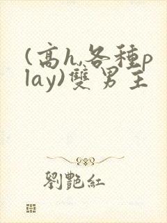 (高h,各种play)双男主