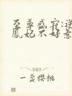 至尊盛宠:逆天凤妃不好惹封面