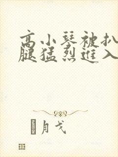高小琴被扒开双腿猛烈进入小说