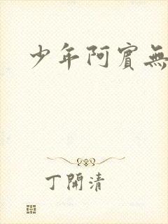 少年阿宾无