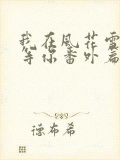 我在风花雪月里等你番外篇封面