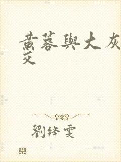 黄蓉与大灰狼淫交