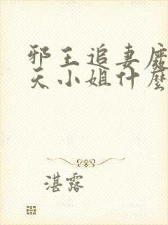 邪王追妻废材逆天小姐什么时候写的封面