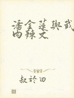 潘金莲与武松h肉辣文