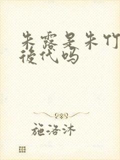 朱露是朱竹清的后代吗封面