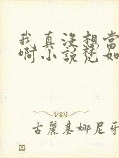 我真没想当皇帝啊小说梵如风