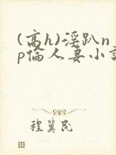 (高h)淫趴np伦人妻小说封面