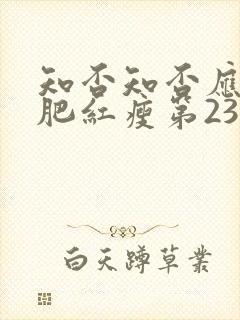 知否知否应是绿肥红瘦第23集