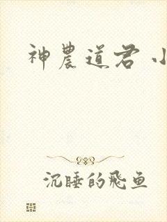 神农道君 小说