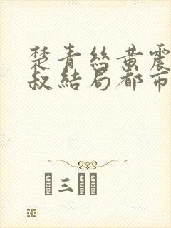 楚青丝黄震与陈叔结局都市佳人