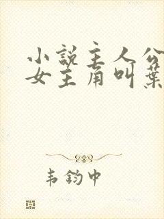 小说主人公林凡女主角叫叶惜