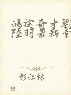 鸿途奇才刘云峰陆羽最新章节封面