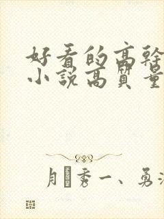 好看的高干言情小说高质量文笔好