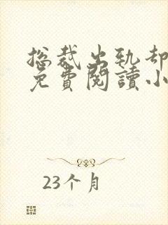 总裁出轨却成瘾免费阅读小说封面