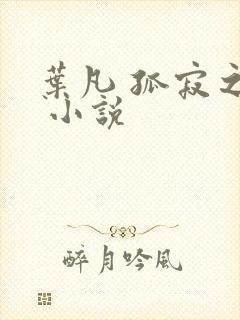 叶凡 孤寂之狼 小说封面