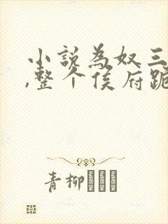 小说为奴三年后,整个侯府跪求我原谅