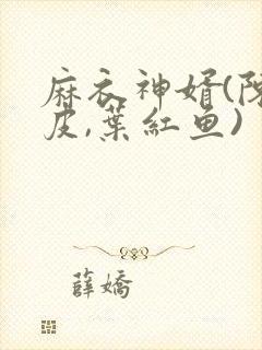 麻衣神婿(陈黄皮,叶红鱼)