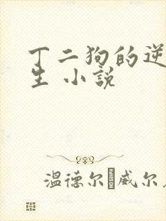 丁二狗的逆袭人生 小说