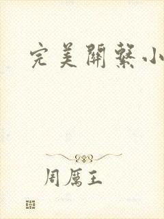 完美关系小说