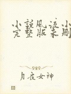 小说风流小傻医完整版未删减小说封面