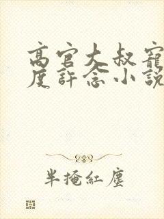 高官大叔宠妻无度许念小说