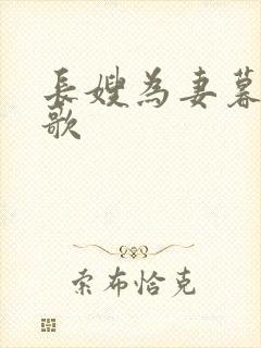 长嫂为妻暮色酒歌封面