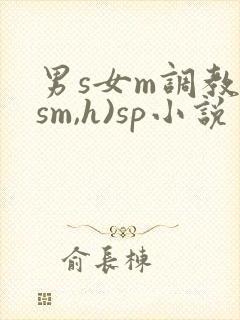 男s女m调教(sm,h)sp小说封面
