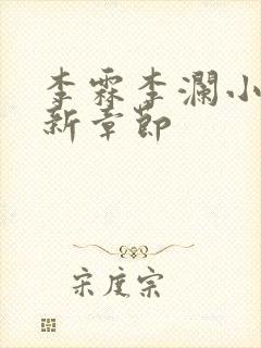 李霖李澜小说最新章节封面