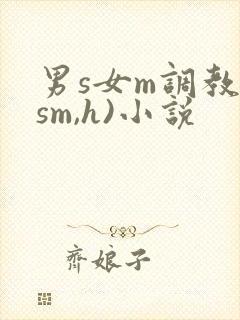 男s女m调教(sm,h)小说