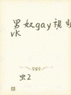 男奴gay视频vk