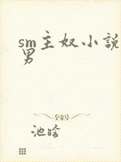 sm主奴小说双男封面