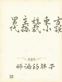 男主姓东方的现代总裁小说
