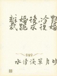 离婚后,冷艳总裁跪求复婚完整版全文阅读