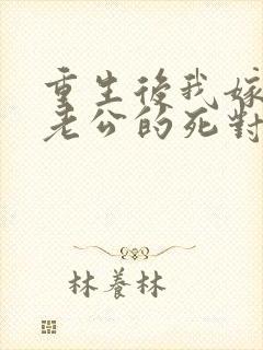重生后我嫁给了老公的死对头 短剧